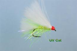 UV Cat